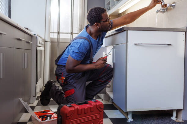 Best Commercial Plumbing Services  in Ogden, UT